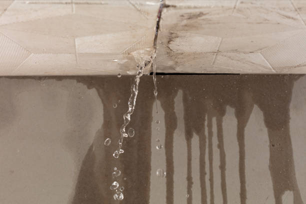 Professional Flood Damage Cleanup technician working in Midway, KY